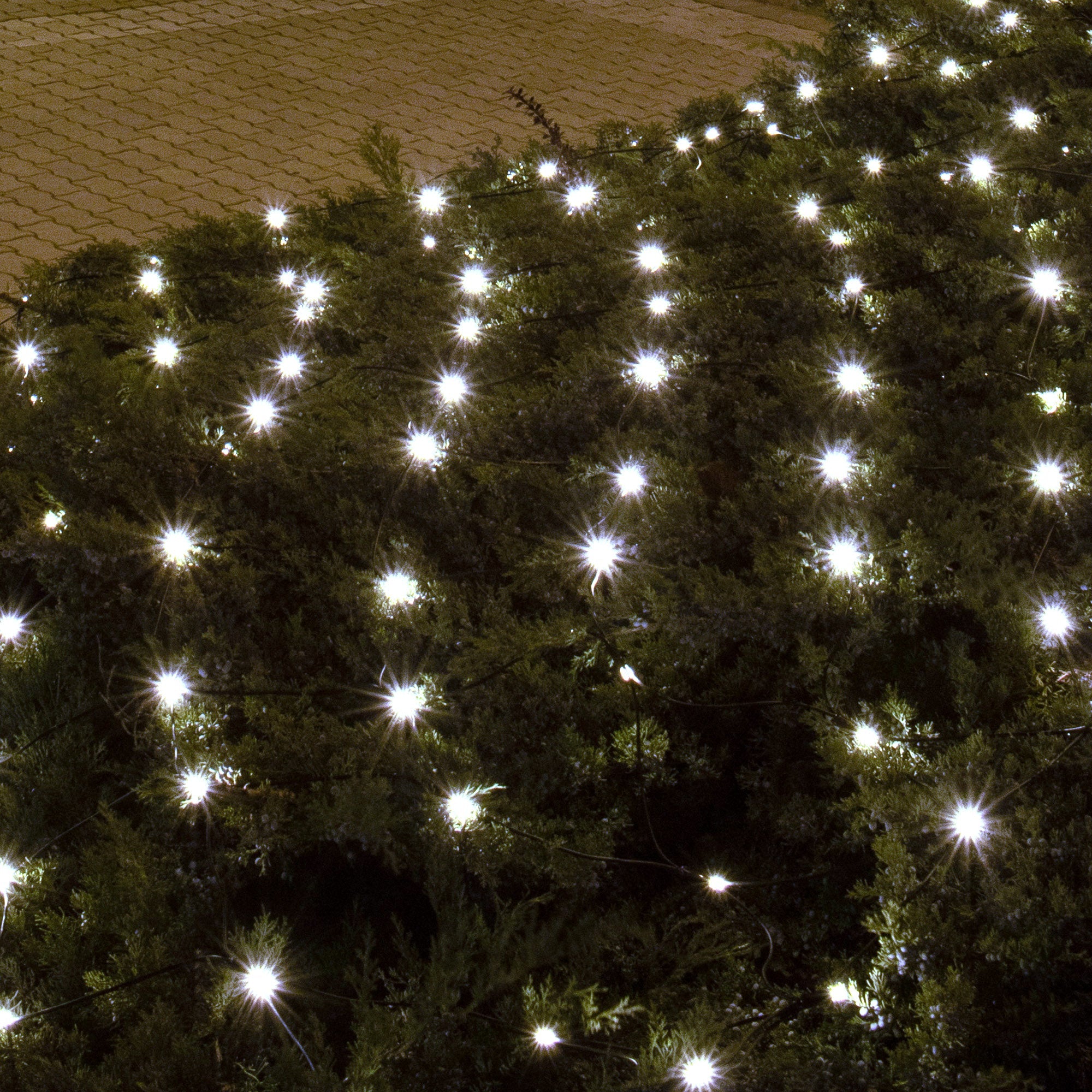 LED siete